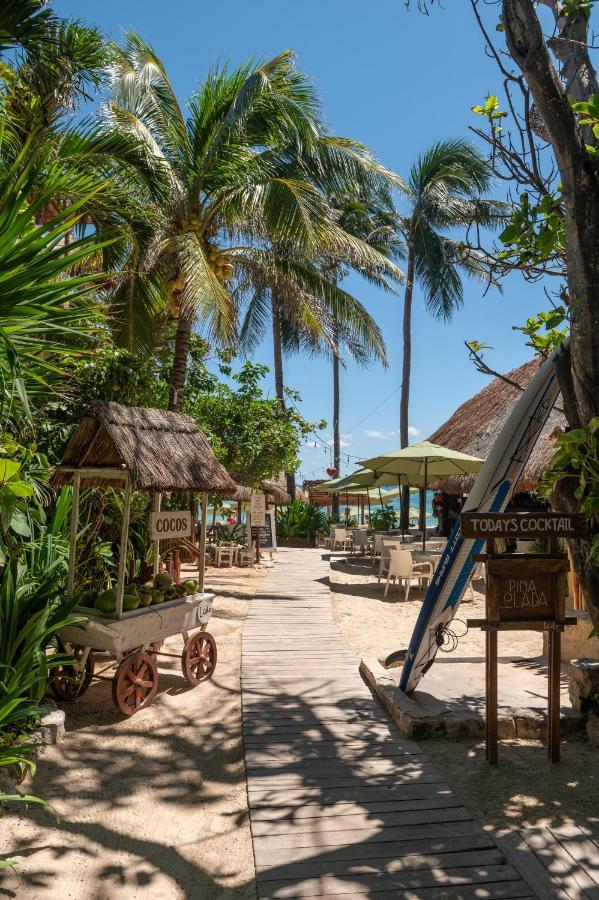 Hotel Casa Colibri ปลายาเดลการ์เมน ภายนอก รูปภาพ