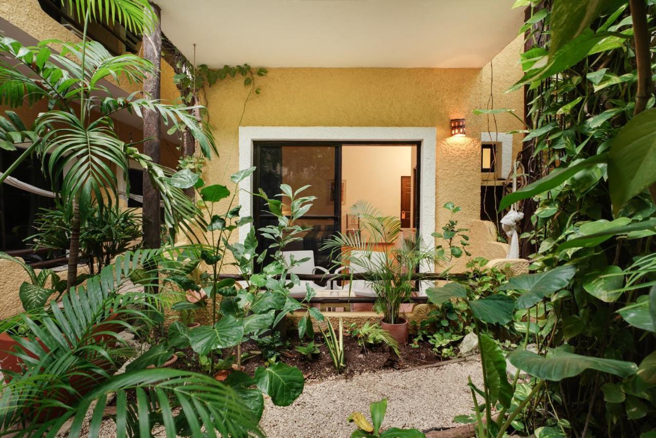 Hotel Casa Colibri ปลายาเดลการ์เมน ภายนอก รูปภาพ