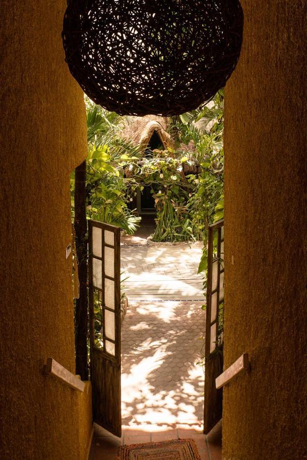 Hotel Casa Colibri ปลายาเดลการ์เมน ภายนอก รูปภาพ