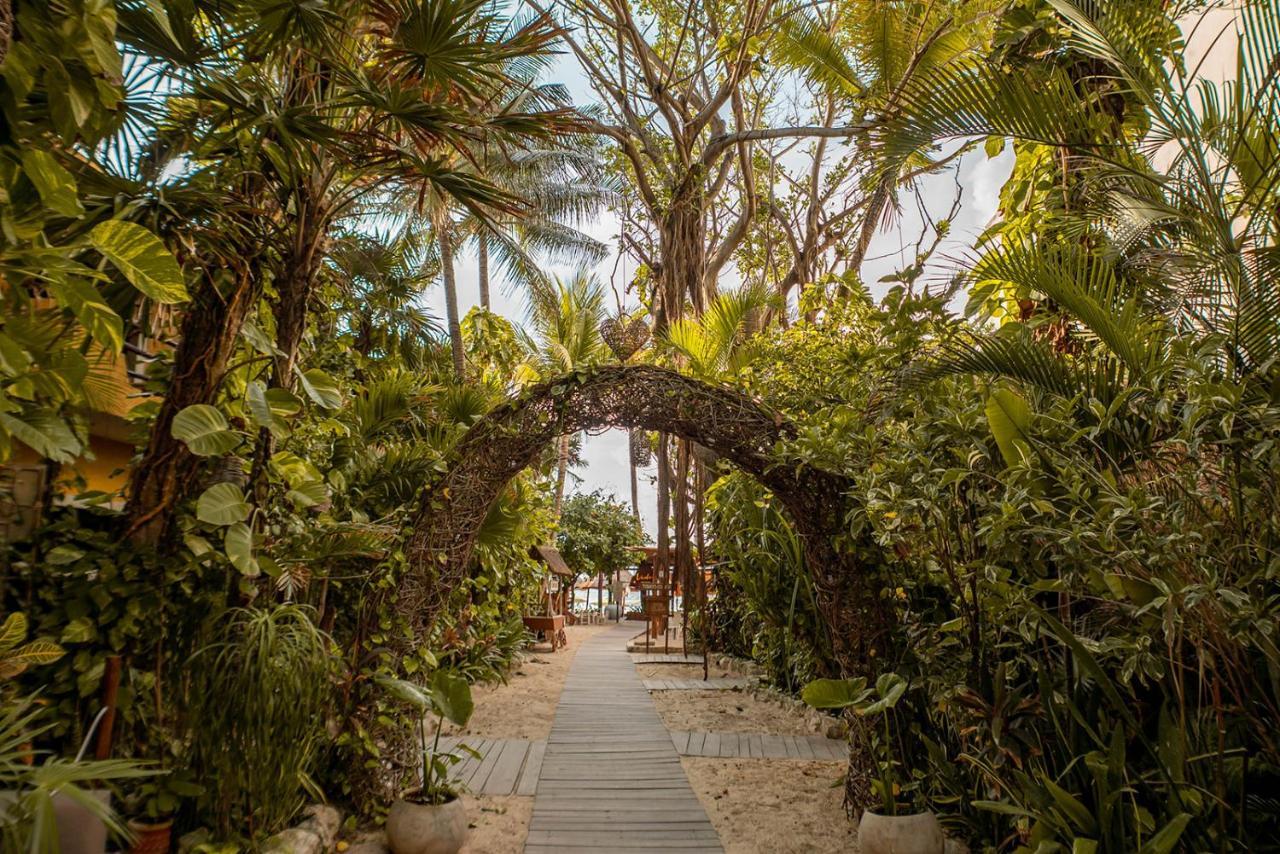 Hotel Casa Colibri ปลายาเดลการ์เมน ภายนอก รูปภาพ