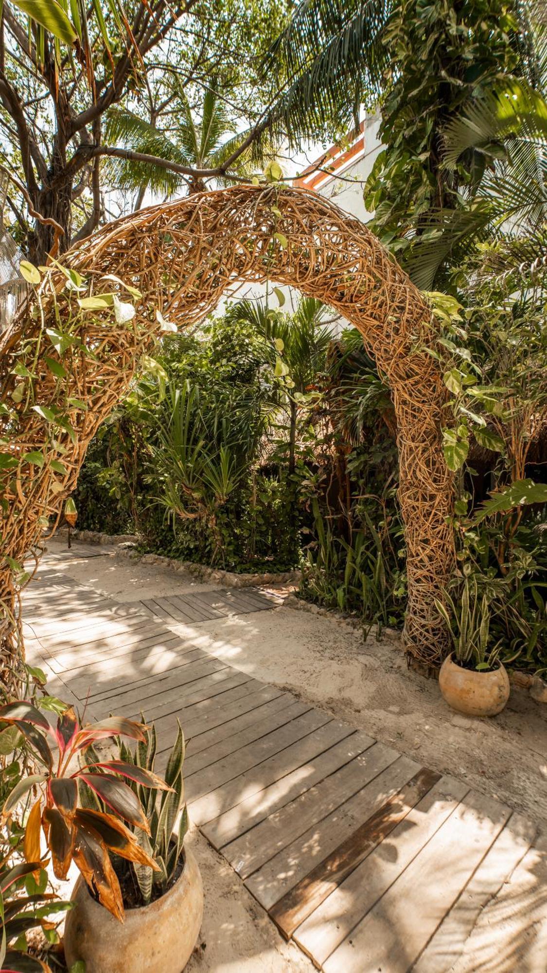Hotel Casa Colibri ปลายาเดลการ์เมน ภายนอก รูปภาพ
