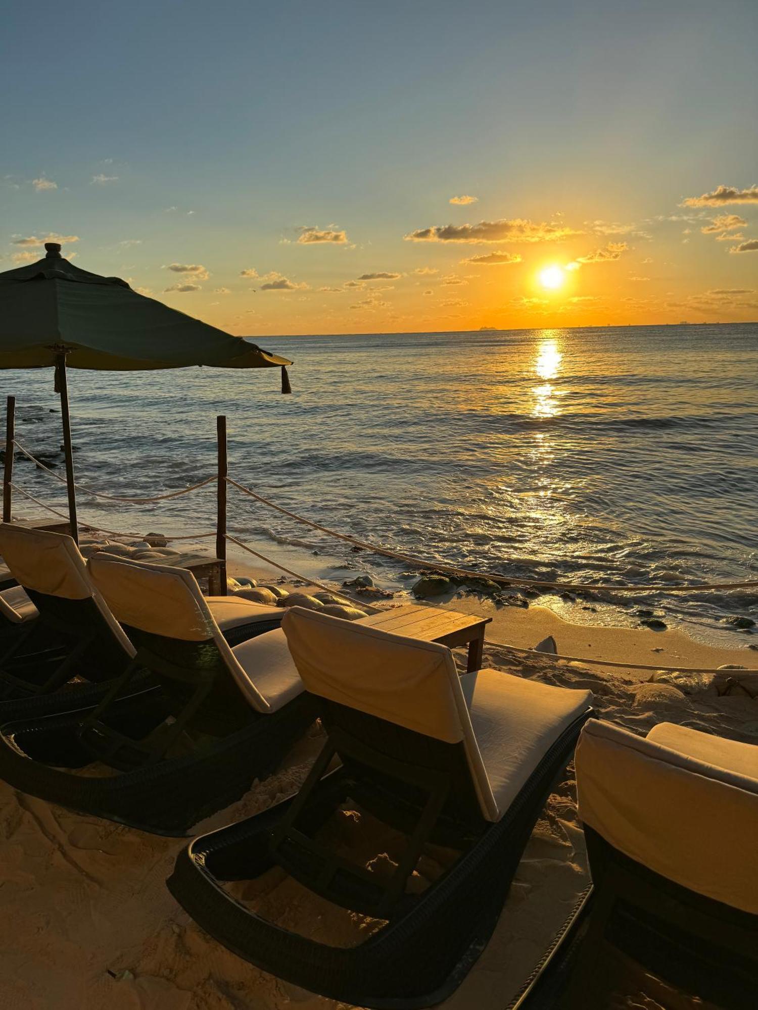 Hotel Casa Colibri ปลายาเดลการ์เมน ภายนอก รูปภาพ