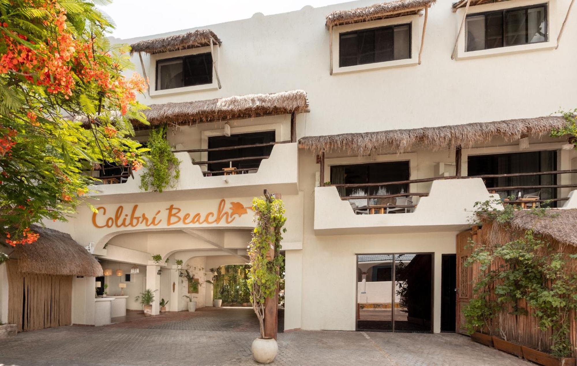 Hotel Casa Colibri ปลายาเดลการ์เมน ภายนอก รูปภาพ